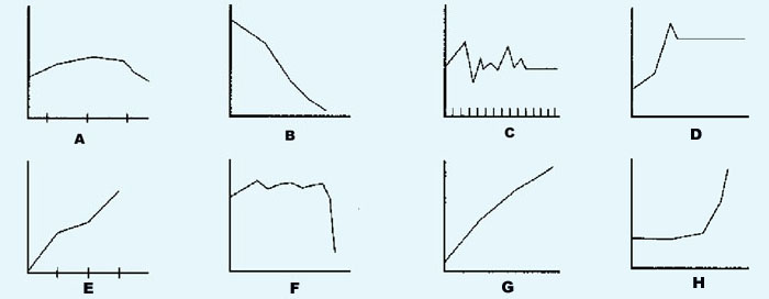 Business Presentations - Describing Graphs and Trends - Practice Exercise 1